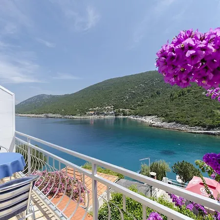 Apartament Dinko *